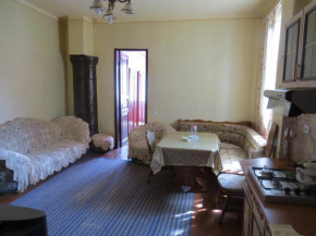2 room apartment in the center city